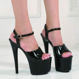 Modelo 2